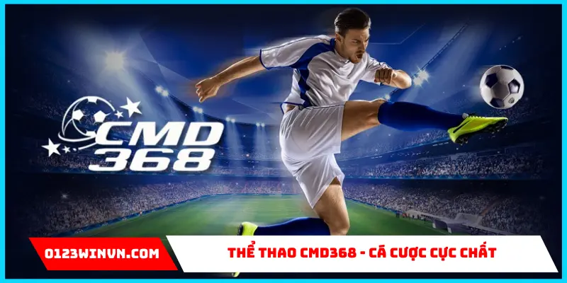Nhà cung cấp CMD368